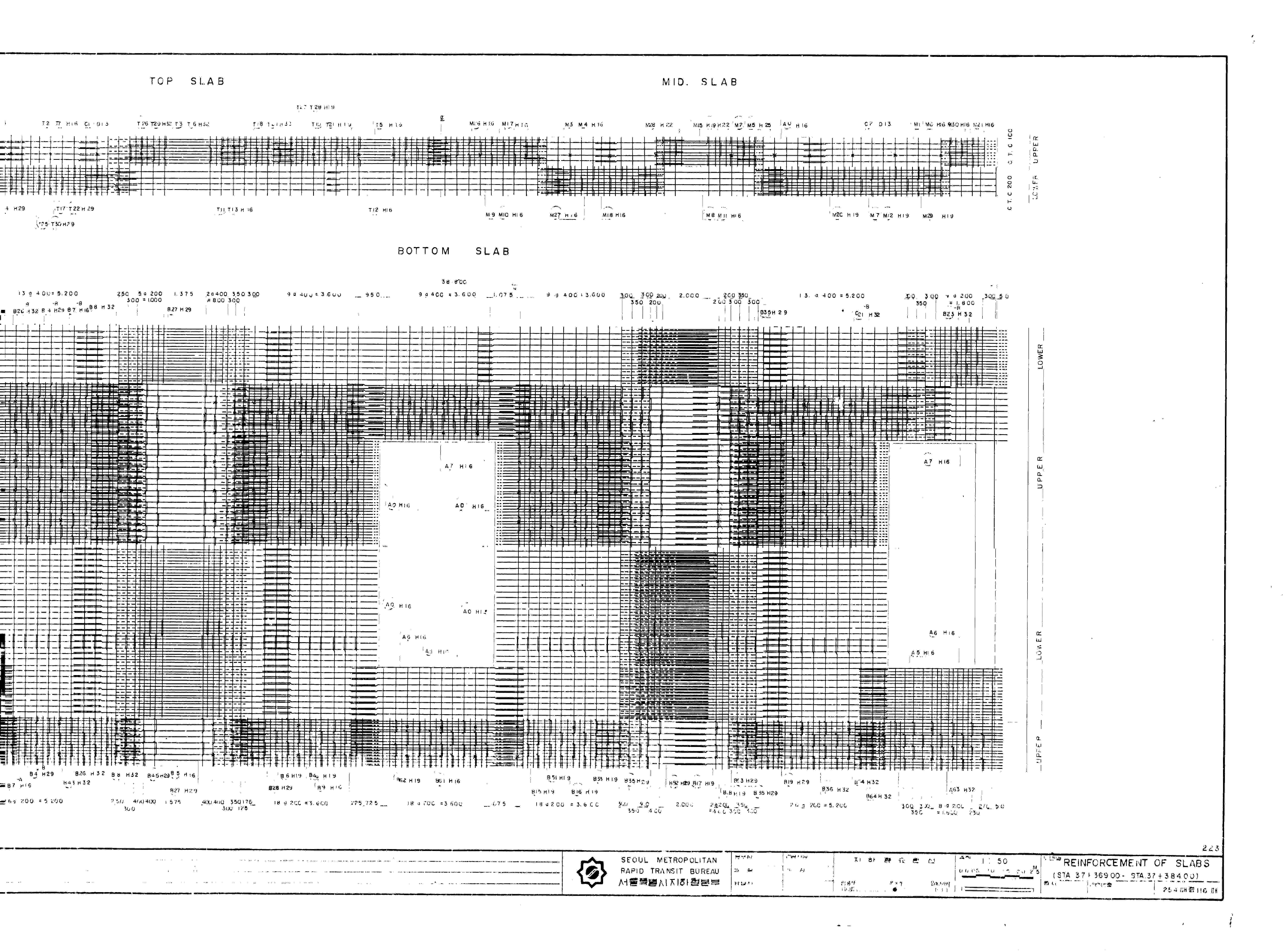 21800241.jpg